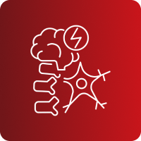 RMN SIMPLE Y CONTRASTADA POR REGION(CONTACTENOS PARA PRECIO)