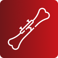 RX STANDARD DE TORAX