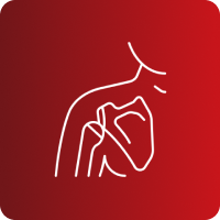 RX CLAVICULA AP