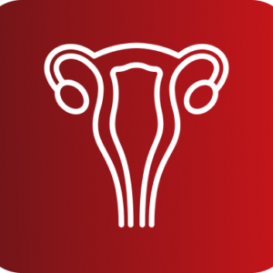 CONSULTA GINECOLOGIA Y OBSTETRICIA