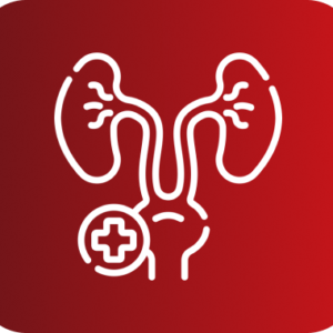 CONSULTA UROLOGIA