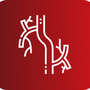 ECOGRAFIA VASCULAR UNA EXTREMIDAD