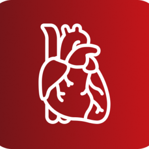 ECOCARDIOGRAMA
