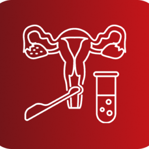 ECOGRAFIA DOPPLER ENDOVAGINAL