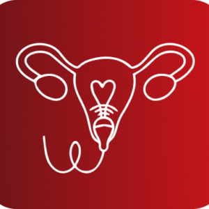 ECOGRAFIA ENDOVAGINAL
