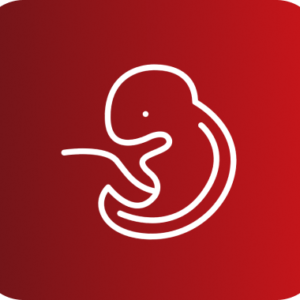 ECOGRAFIA OBSTETRICO