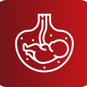ECOGRAFIA OBSTETRICO 2 SEMESTRE (SCREENING)