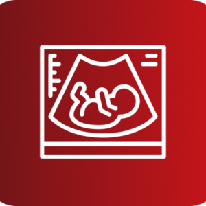 ECOGRAFIA OBSTETRICO 3 SEMESTRE (SCREENING)