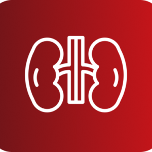 ECOGRAFIA DOPPLER RENAL