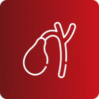 COLANGIO RESONANCIA (NO INCLUYE CONTRASTE)