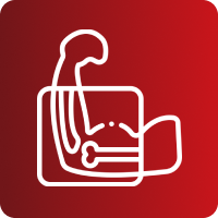 RX ANTEBRAZO AP Y LATERAL
